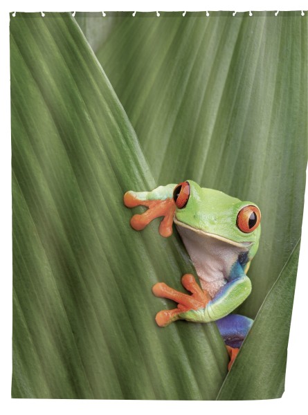 Duschvorhang Frog, 180x200 cm